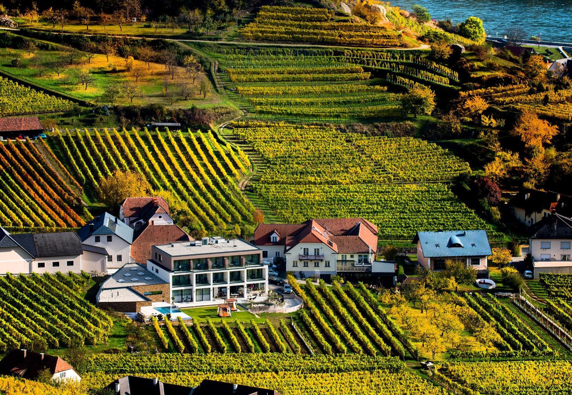 Weingut Donabaum "In Der Spitz" Apartment Spitz an der Donau Ruang foto
