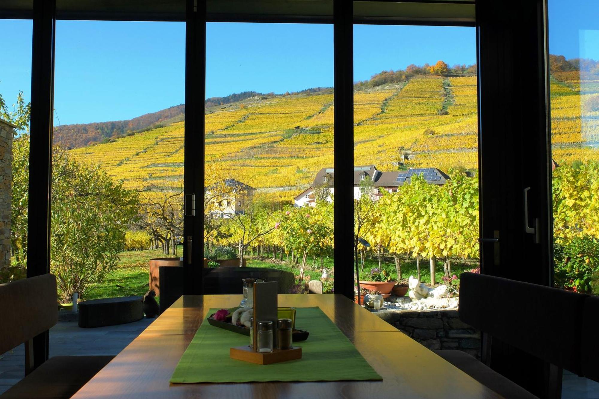 Weingut Donabaum "In Der Spitz" Apartment Spitz an der Donau Ruang foto