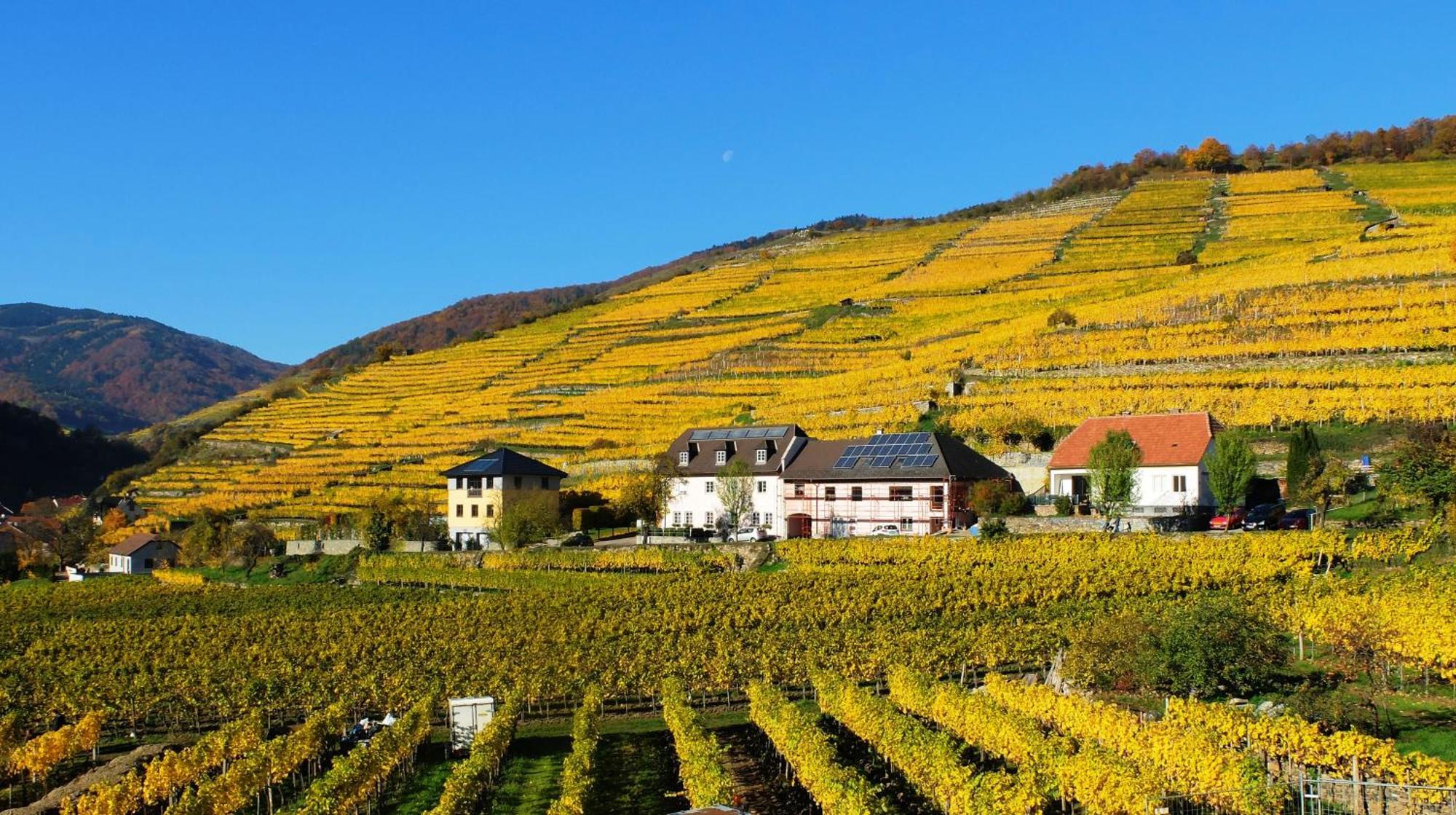 Weingut Donabaum "In Der Spitz" Apartment Spitz an der Donau Ruang foto