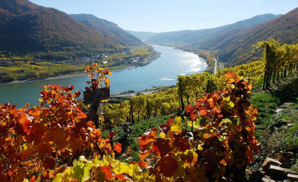Weingut Donabaum "In Der Spitz" Apartment Spitz an der Donau Bagian luar foto