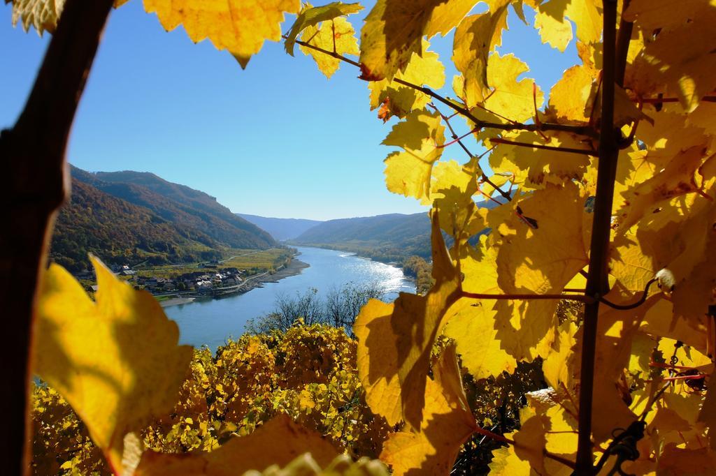 Weingut Donabaum "In Der Spitz" Apartment Spitz an der Donau Bagian luar foto