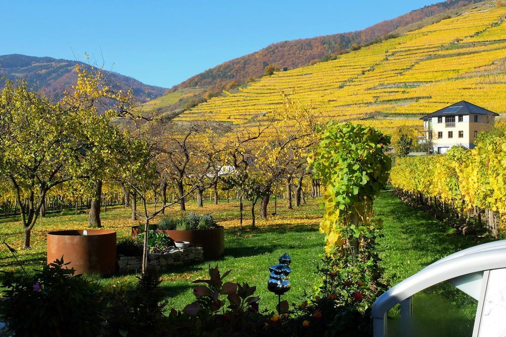 Weingut Donabaum "In Der Spitz" Apartment Spitz an der Donau Bagian luar foto