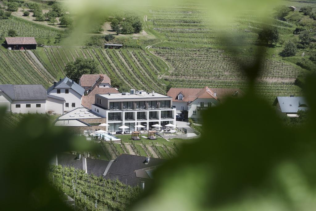Weingut Donabaum "In Der Spitz" Apartment Spitz an der Donau Bagian luar foto