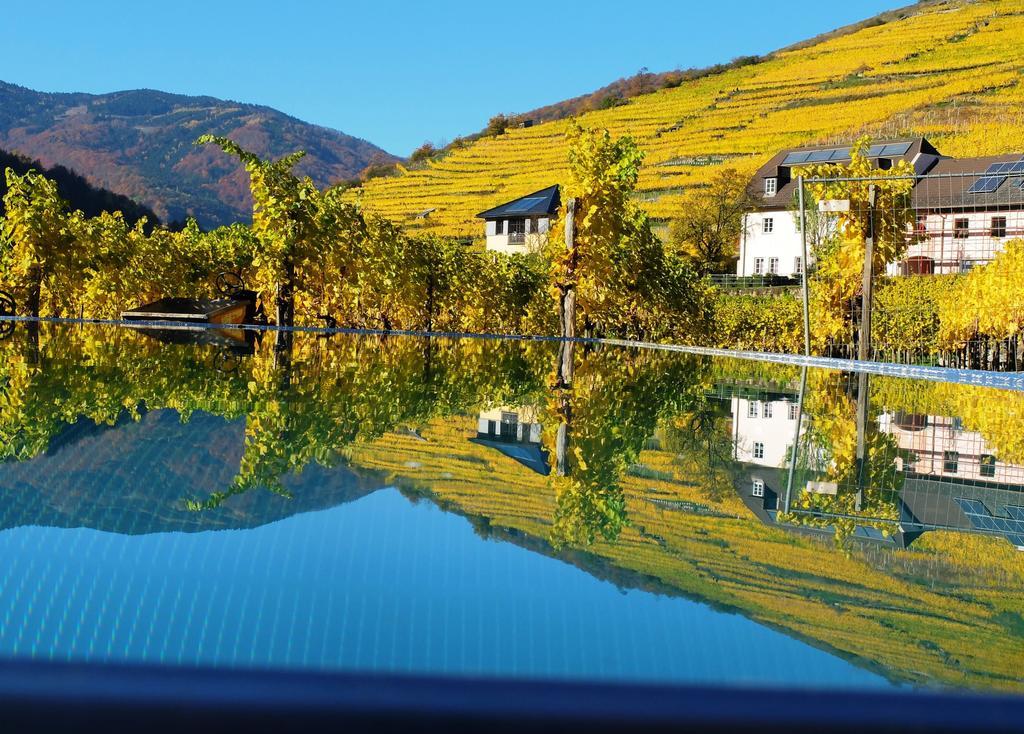 Weingut Donabaum "In Der Spitz" Apartment Spitz an der Donau Bagian luar foto
