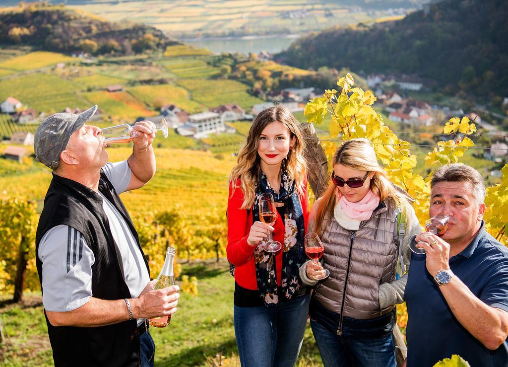 Weingut Donabaum "In Der Spitz" Apartment Spitz an der Donau Bagian luar foto