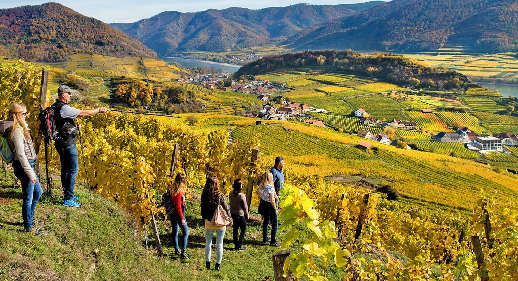 Weingut Donabaum "In Der Spitz" Apartment Spitz an der Donau Bagian luar foto
